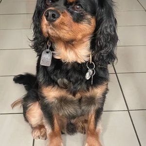 Meet your Posher, Barbara